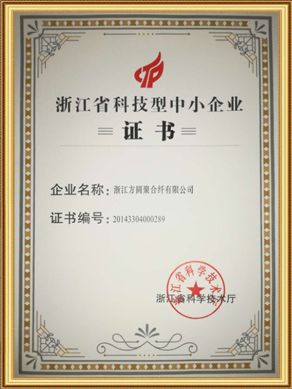 Întreprinderi mici și mijlocii bazate pe știință și tehnologie din provincia Zhejiang